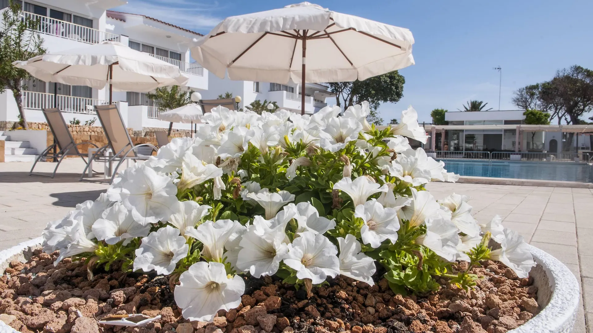 Naranjos Resort Menorca S'Algar