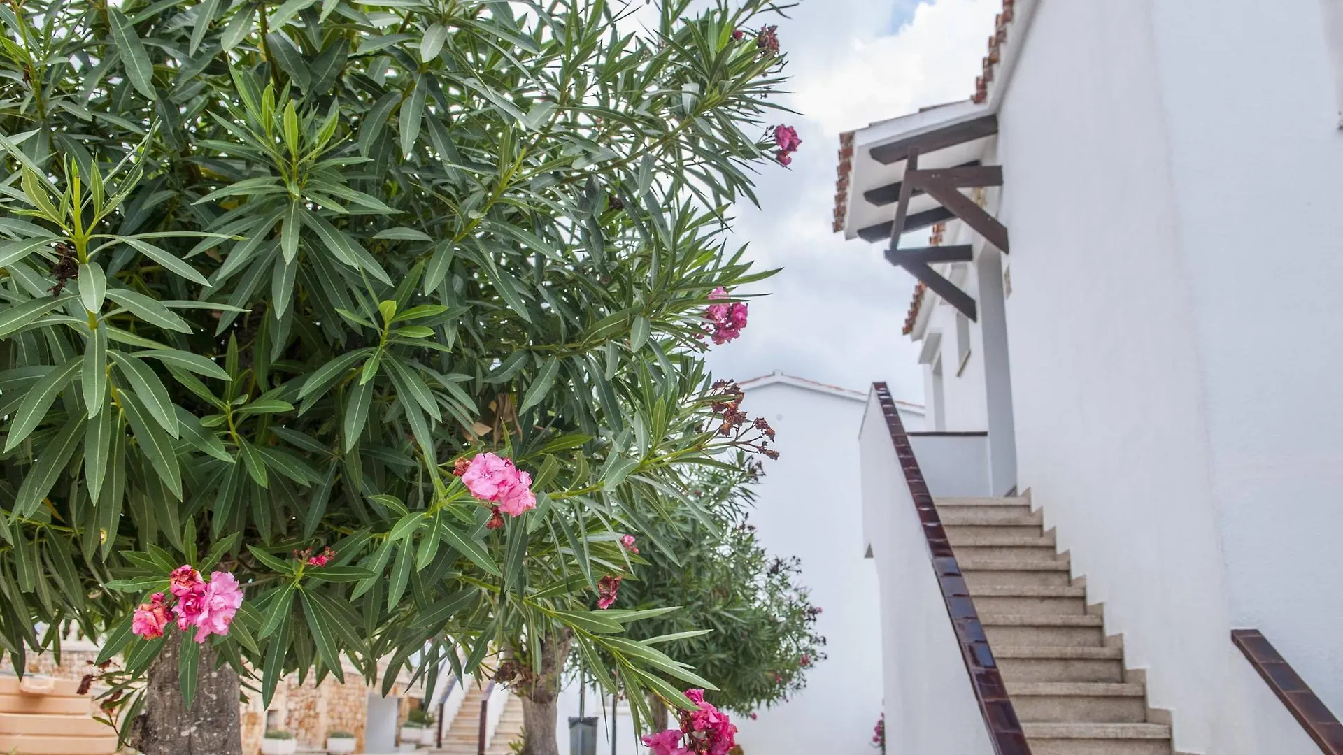 Naranjos Resort Menorca S'Algar